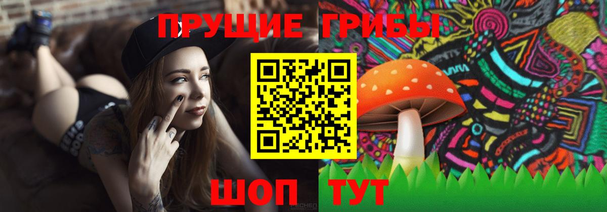 Нижнеудинск  Псилоцибиновые грибы MAGIC MUSHROOMS  Галлюциногенные грибы MAGIC MUSHROOMS  Вход с VPN 